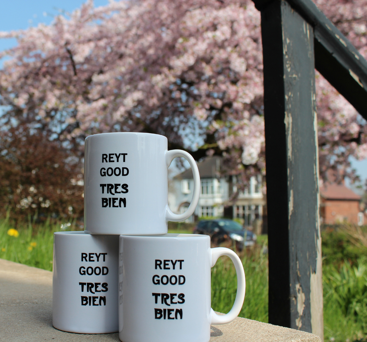 Tres Bien Reyt Good fun translation on mug